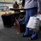 Lawmakers in Caracas approved a $ million credit for the country's ministry of commerce to ship in toilet paper, toothpaste and soap.